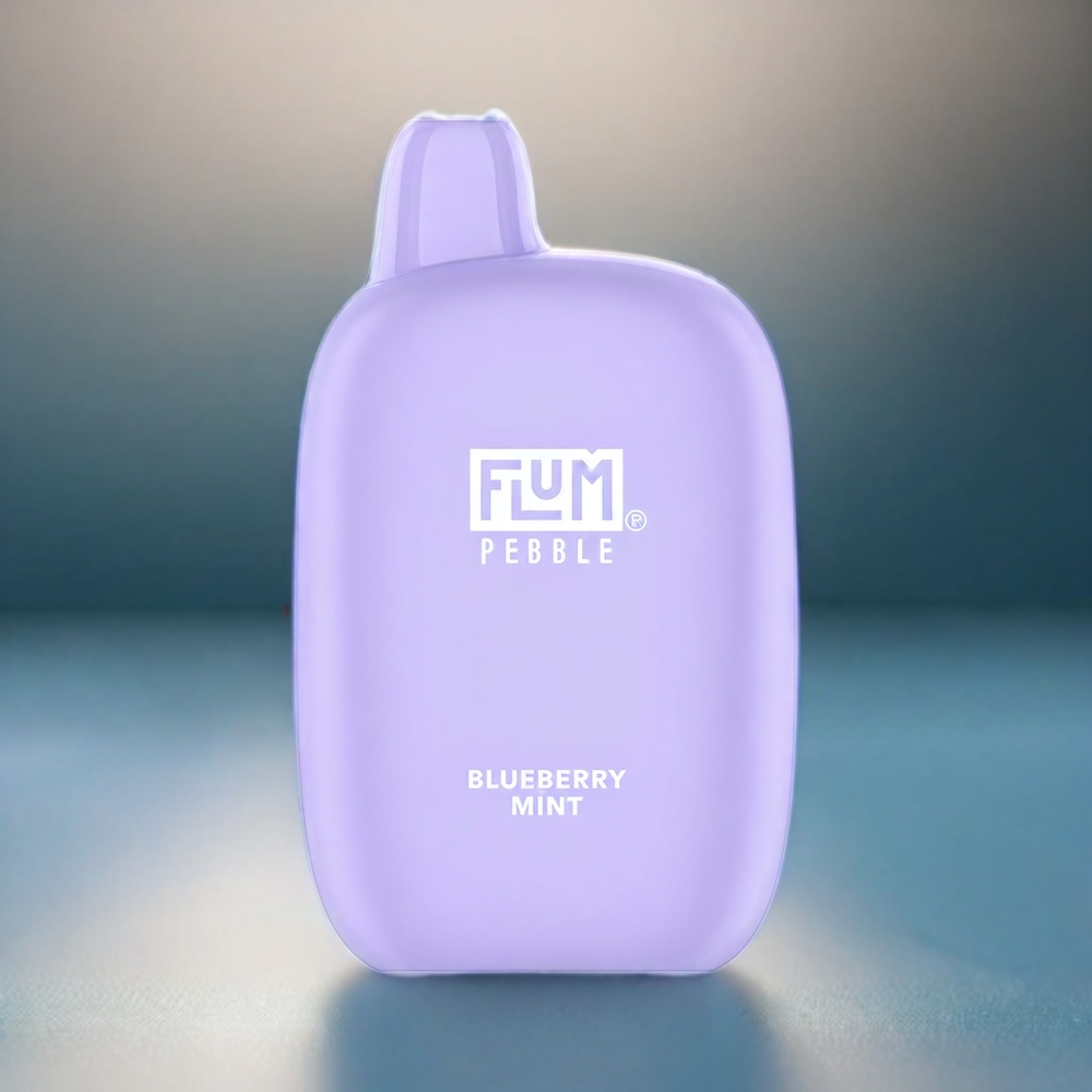 Flum Pebble 6000 Schweiz Großhandel – 10ml E-Liquid, 5% Nikotin, 500mAh, Mesh Coil, Blaubeer-Geschmack
