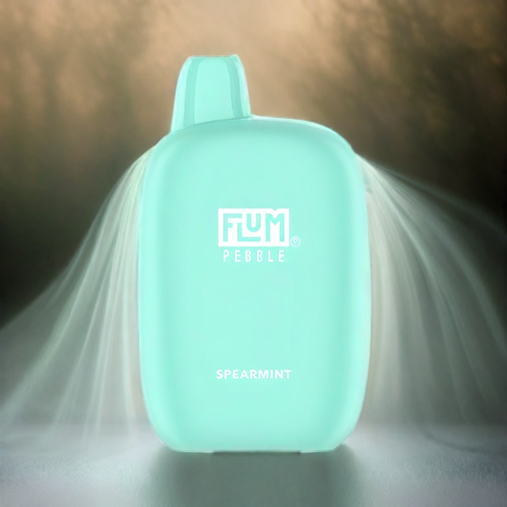 Flum Pebble 6000 Spearmint Schweiz Großhandel – 10ml, 5% Nikotin, 500mAh