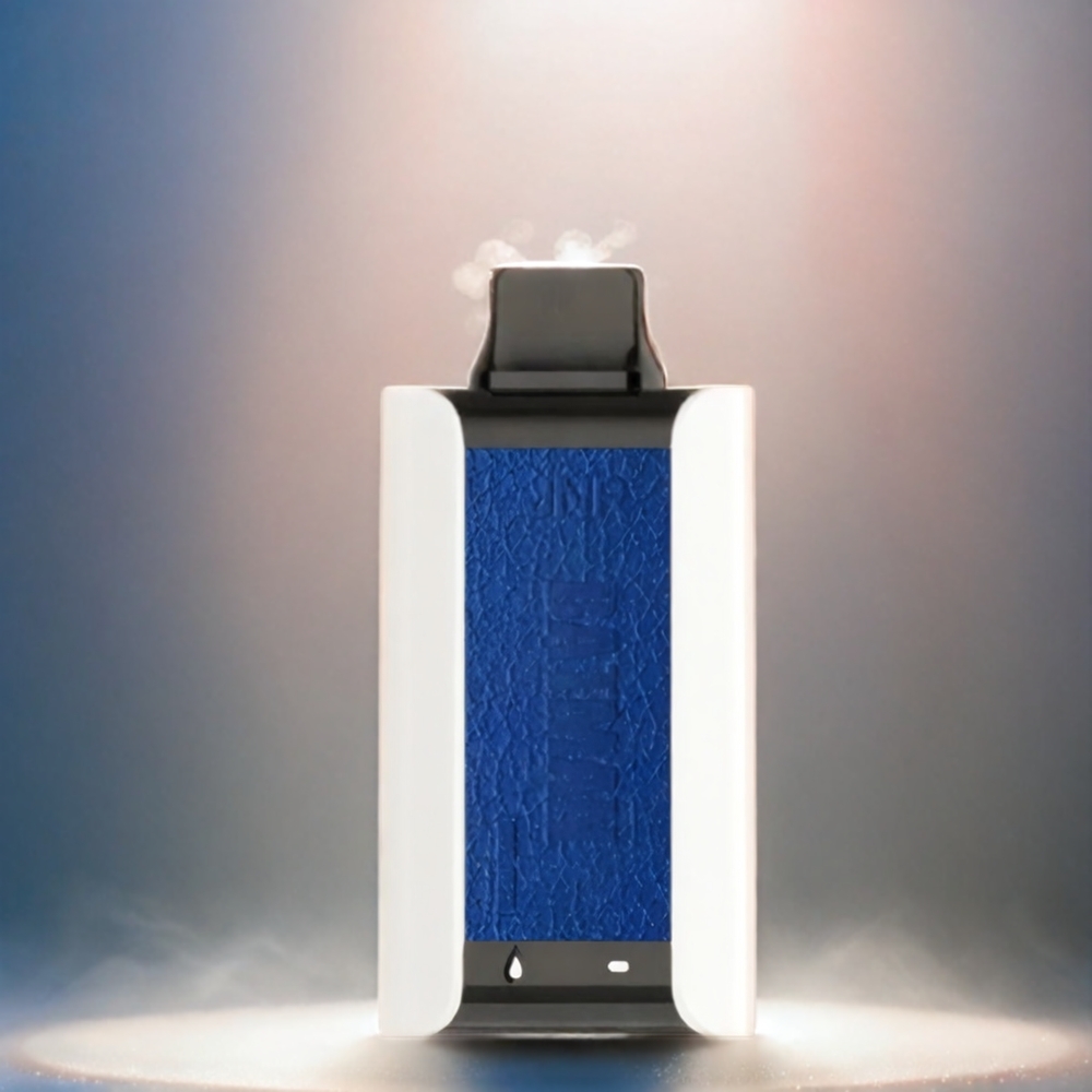 JNR BATMAN 11000 Puffs 850 mAh 20ml Dual Mesh Coil Type-C Schweiz Großhandel Blaubeere Himbeere