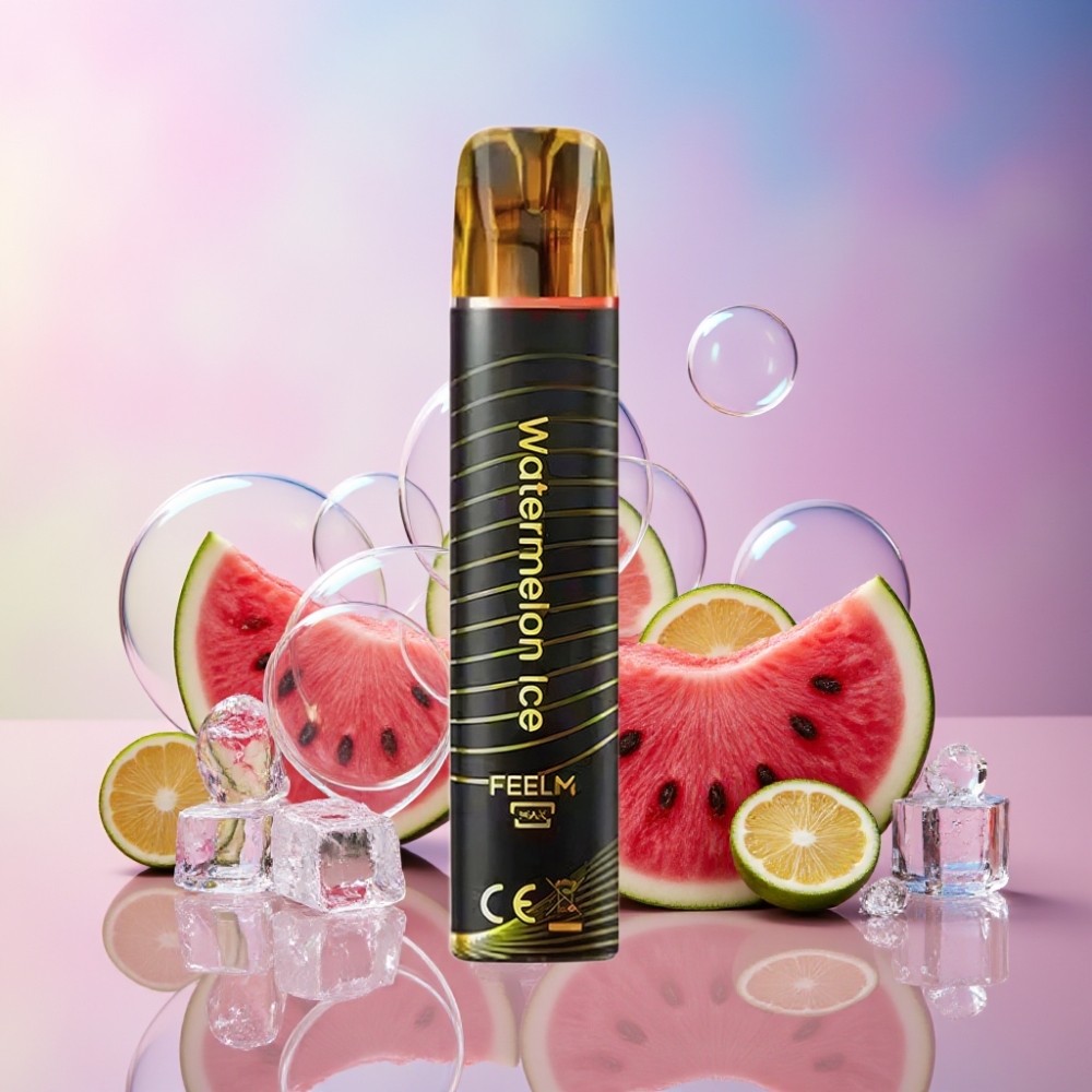 JNR Black&Golden 600+200 Puffs Einweg-Vape Wassermelone Eis – 800 Puffs, 550mAh, 2ml, TPD, Schweiz großhandel