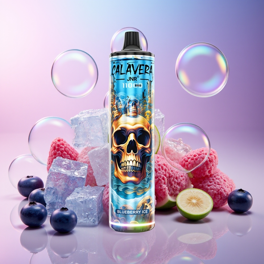 JNR Calavera 11000 Puffs Einweg-Vape Blueberry-Eis Schweiz Großhandel mit 21ml E-Liquid, 850 mAh, Type-C
