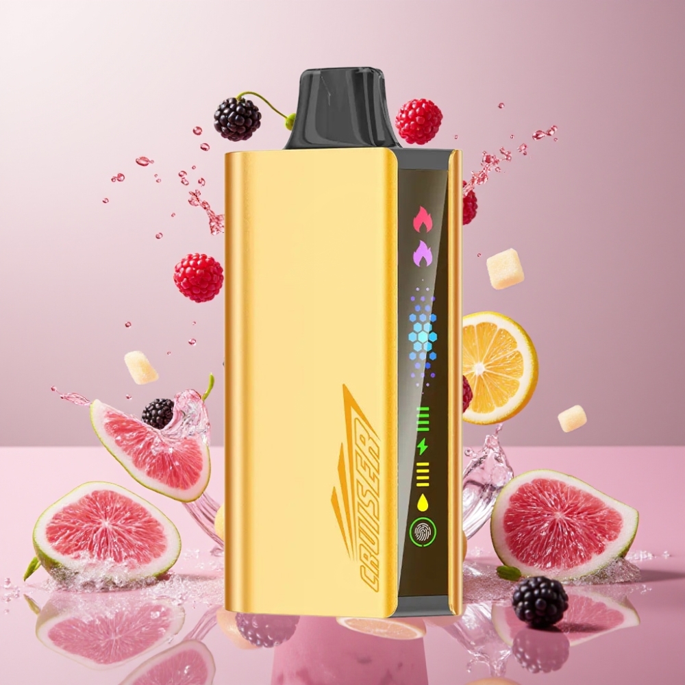 JNR Cruiser 12000 Puffs No-Charge Einweg-Vape Brombeer-Eis mit 3500 mAh Akku, 25ml E-Liquid & Dual-Mode – Schweiz Großhandel