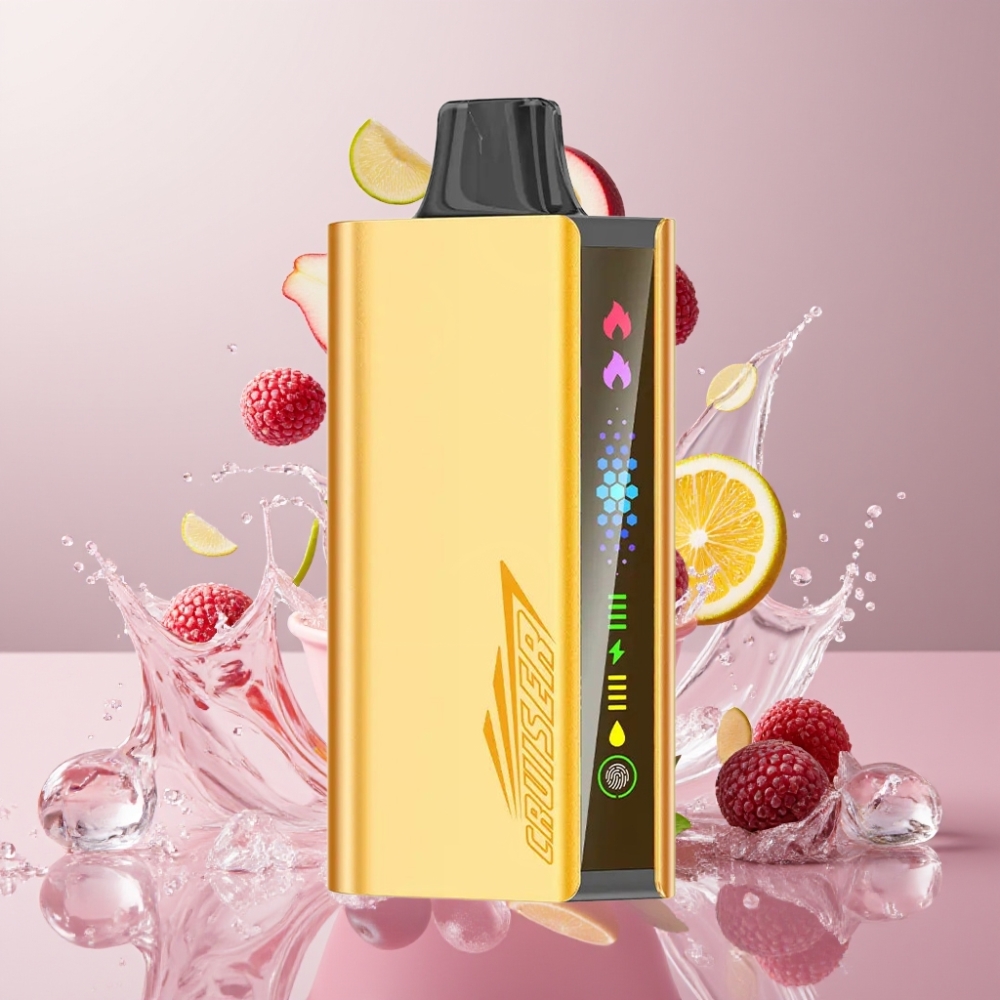JNR Cruiser 12000 Puffs No-Charge Einweg-Vape Grape Ice 25ml E-liquid 12000 Puffs Schweiz großhandel