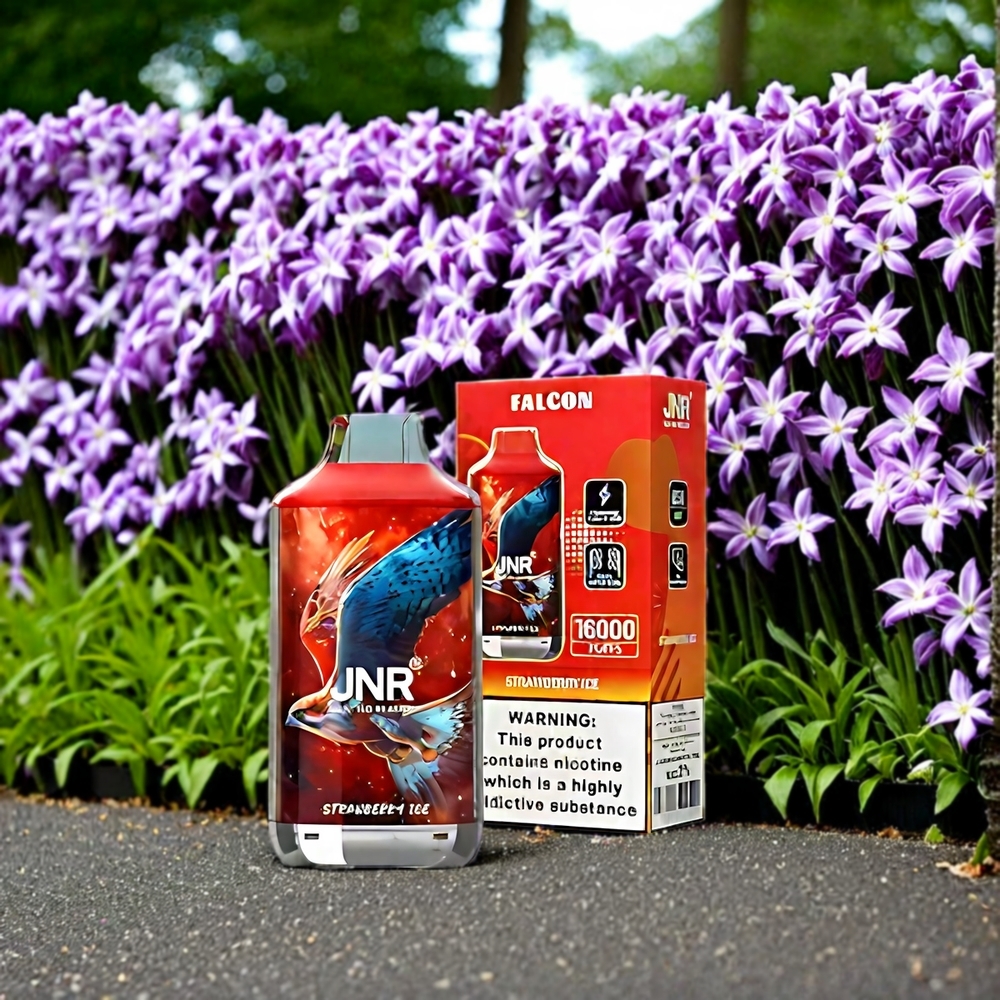 JNR Falcon 16000 Puffs Schweiz Großhandel - 22ml E-Liquid, Dual Mesh Coil, Smart LED Display - Erdbeer Eis