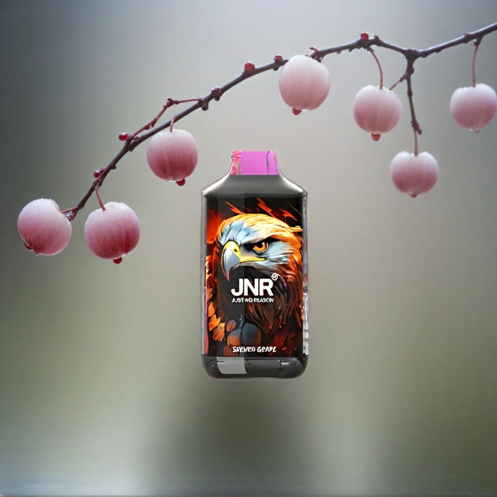 JNR Falcon 16000 Puffs Schweiz Großhandel – 22ml E-Liquid, Dual Mesh Coil, Typ-C & Lightning, Sakura Grape