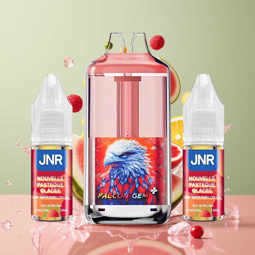 JNR Falcon GEM⁺ 30000 Puffs nachfüllbare Pod Vape Wassermelone Eis, 950mAh Akku, 2 10ml Flüssigkeit, Schweiz großhandel