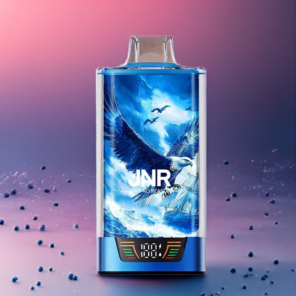 JNR Falcon Pro 28000 Schweiz Großhandel – 28000 Puffs, 30ml E-Liquid, Smart Screen, Dual Mesh Coil, Type-C, Heidelbeer-Eis