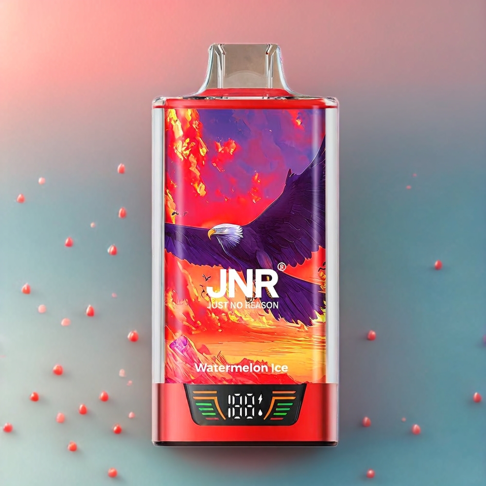 JNR Falcon Pro 28000 Schweiz Großhandel - 28000 Puffs, 30ml E-Liquid, Smart Screen, Wassermelone Eis