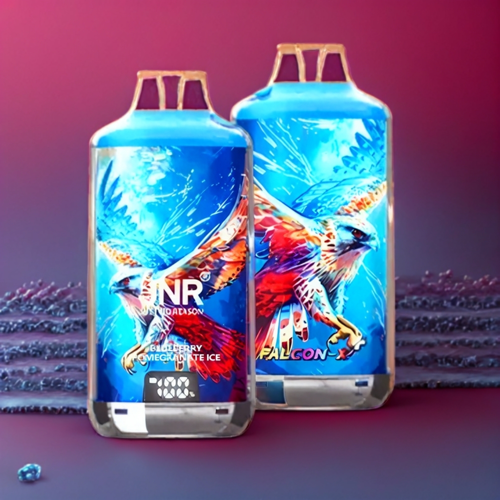 JNR Falcon X⁺ 28000 Schweiz Großhandel – Sichtbare E-Liquid-Füllstände, 28000 Züge, 950mAh Akku, Blaubeere Granatapfel Eis