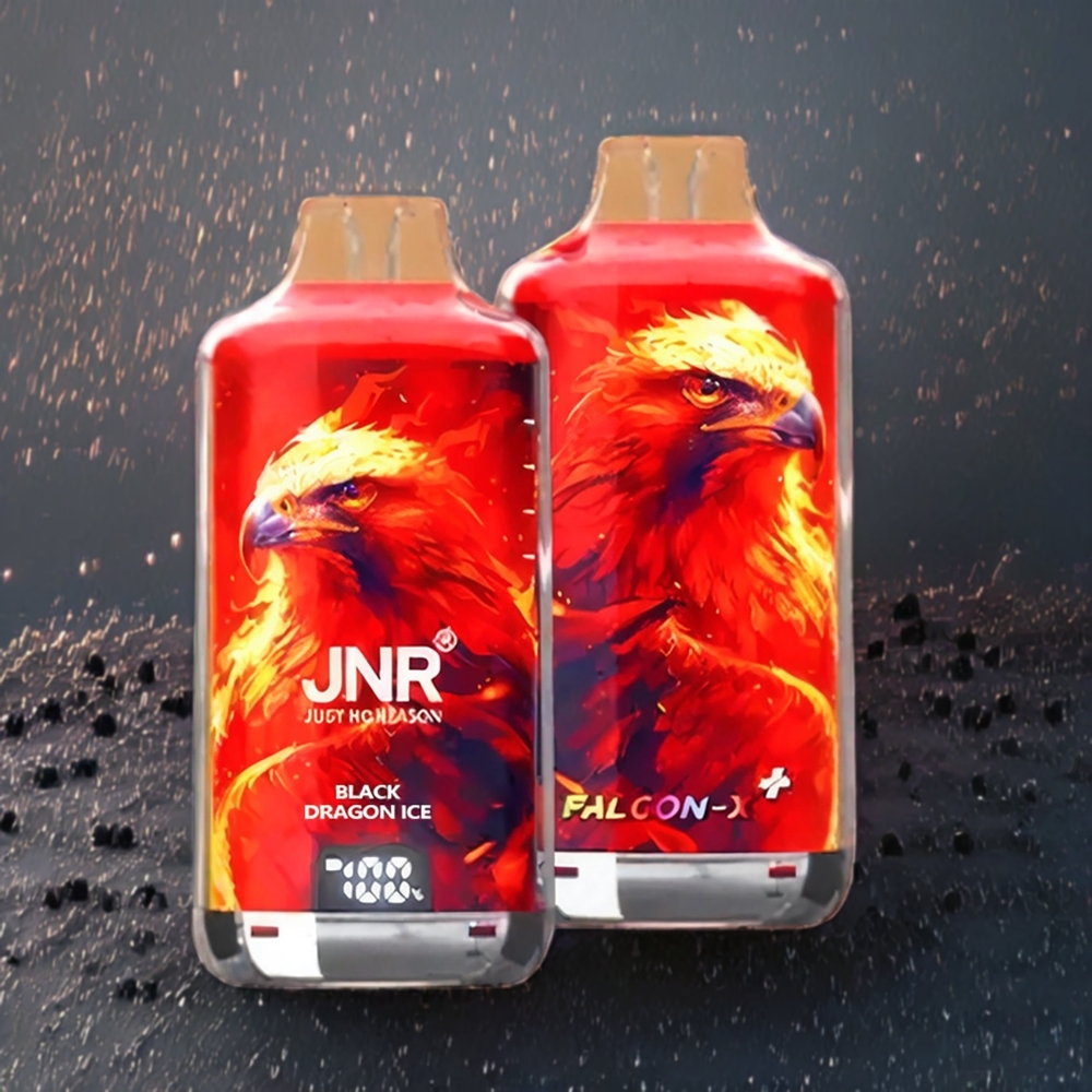 JNR Falcon X⁺ 28000 Schweiz Großhandel mit sichtbarem E-Liquid-Stand, 28000 Züge, Top-Refill-Design & 950mAh Akku – Black Dragon Ice