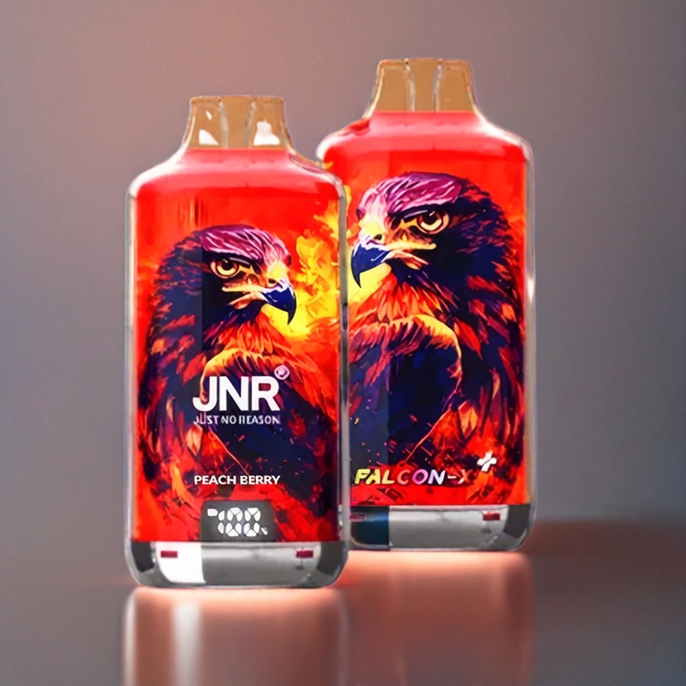JNR Falcon X⁺ 28000 mit sichtbarem E-Liquid-Stand, 950mAh Akku, Typ-C-Ladung, Peach Berry Geschmack – Schweiz großhandel