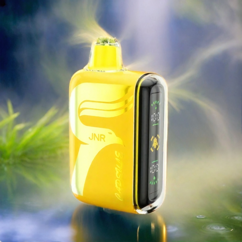 JNR Capsule 15000 Puffs – 850mAh, 20ml, Dual Mesh Coil, Type-C Schnellladung, Schweiz Großhandel
