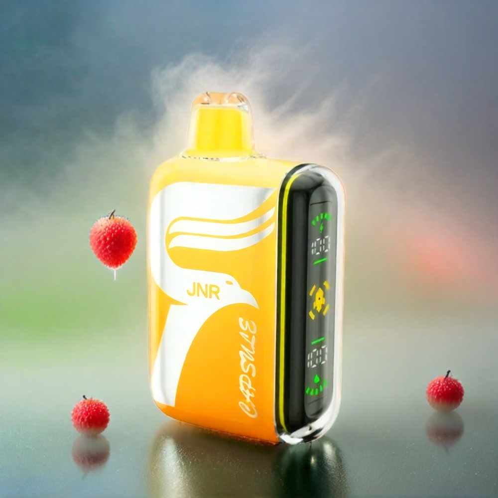 JNR Capsule 15000 Puffs Schweiz Großhandel – 20ml E-Liquid, 850mAh Akku, Dual Mesh Coil, Wassermelone Lychee