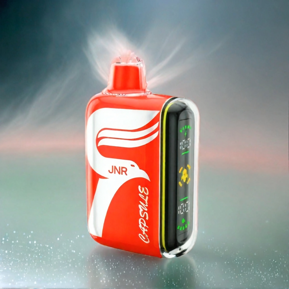 JNR Capsule 15000 Puffs Schweiz großhandel mit 850mAh, 20ml E-Liquid und 20W – Wassermelone Eis