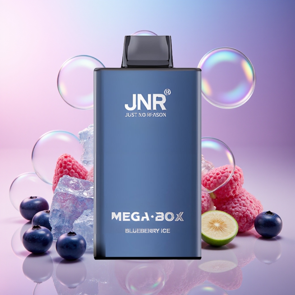 JNR Mega Box 25000 Puffs Einweg-Vape Blau-Eis Schweiz Großhandel – 30ml E-Liquid, 850mAh Akku, Dual Mesh Coil