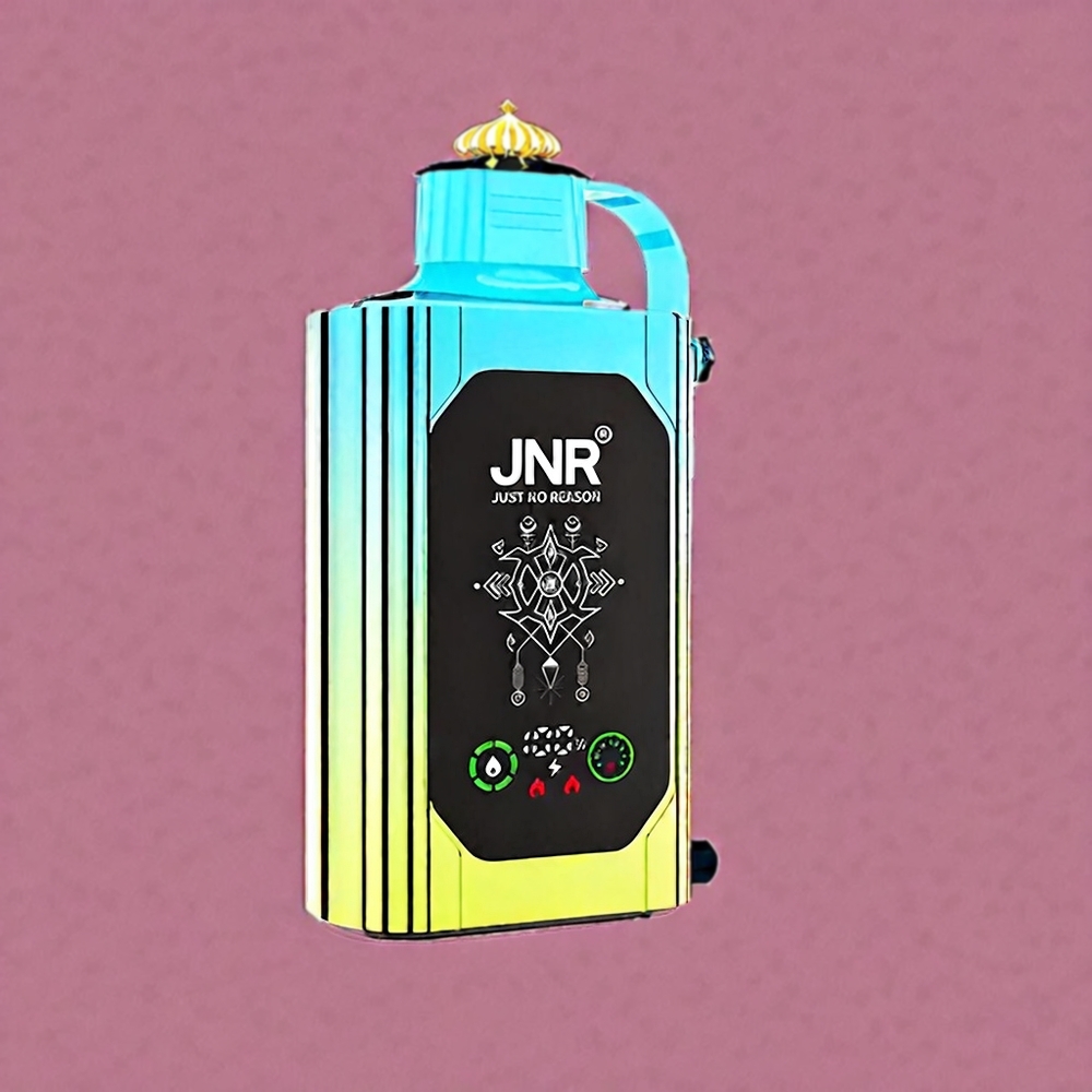 JNR Shisha Box 20500 Puffs Schweiz Großhandel – HD Display, Dual Mesh Coil & Dual Core,Heidelbeer Minze