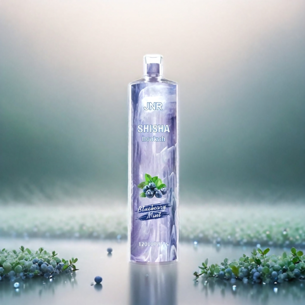 JNR Shisha Hookah 12000 Puffs - 24ml, 0.6Ω Mesh, 750mAh, Type-C - Schweiz großhandel - Jnr Shisha Hookah Blueberry Minze (Blaubeer-Minze)