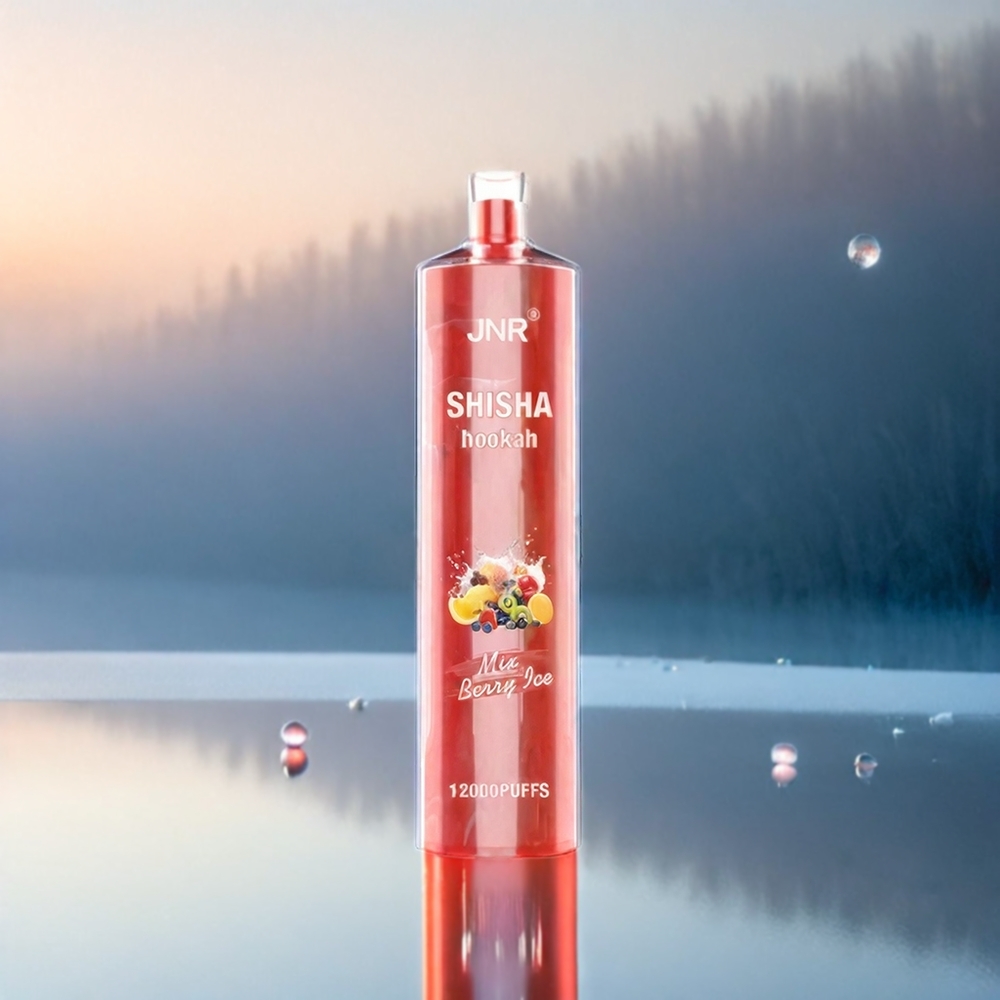 JNR Shisha Hookah 12000 Puffs Berry Ice 24ml 750mAh Schweiz Großhandel
