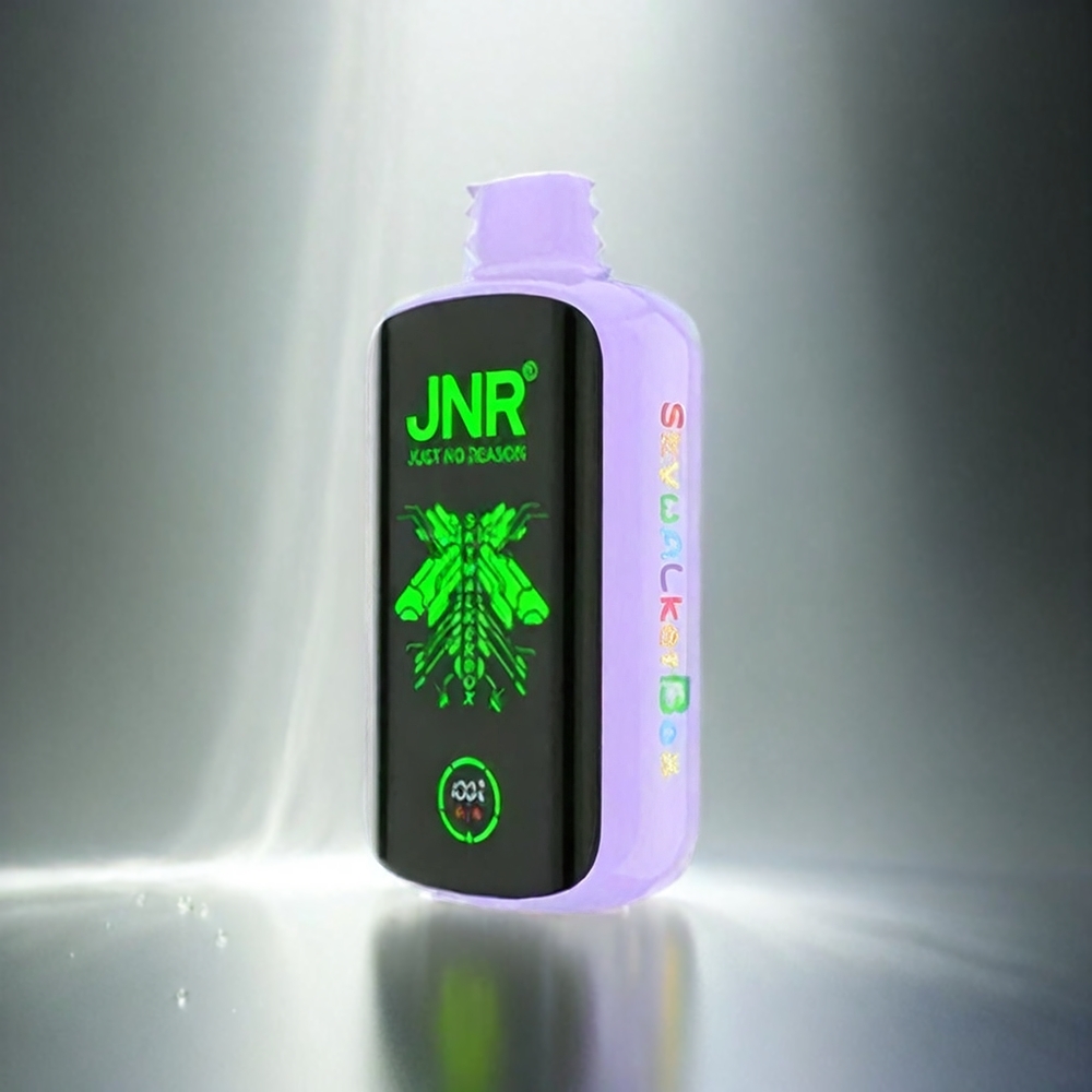 JNR Skywalker Box 21000 Puffs Grape Ice 850mAh Dual Mesh Coil Type-C Schweiz Großhandel