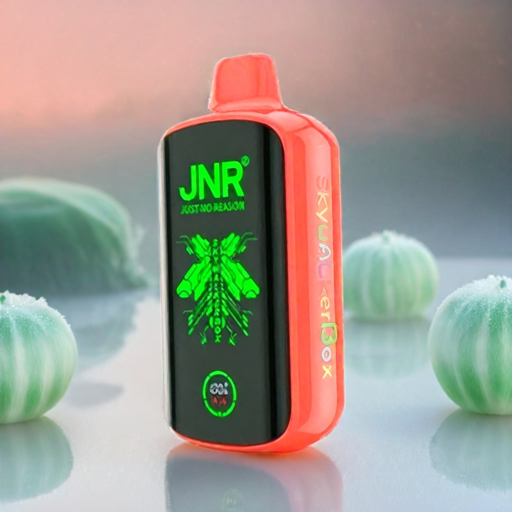 JNR Skywalker Box 21000 Puffs Schweiz Großhandel – 25ml E-Liquid, Dual Mesh Coil, Type-C – Wassermelone Eis