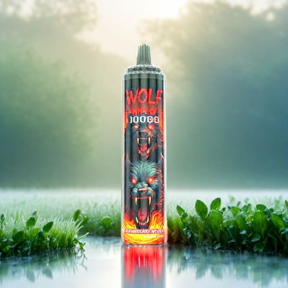 JNR Wolf 10000 Puffs Schweiz Großhandel – 20ml, 5%, Typ-C – Erdbeer Mojito