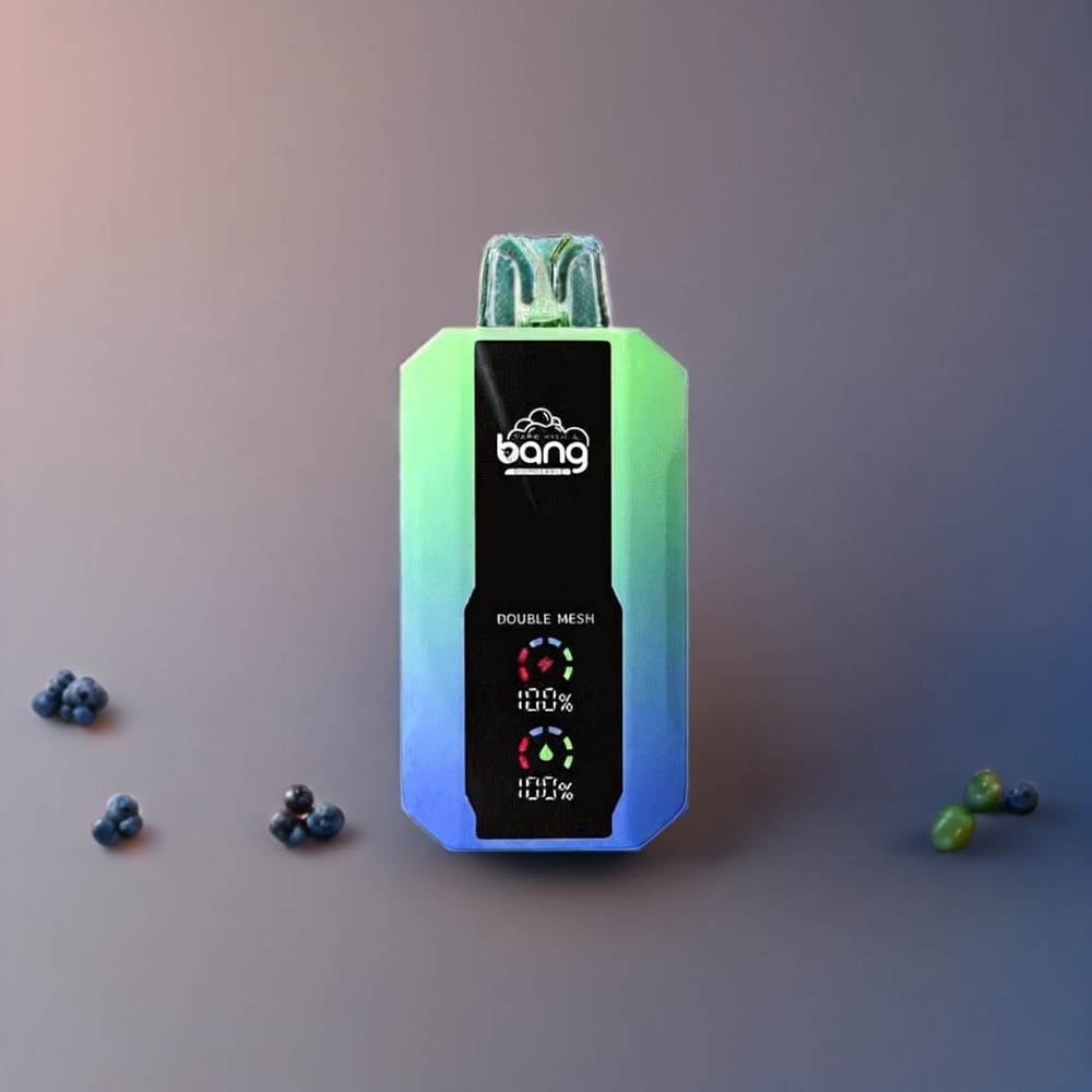 Bang 25000 Puffs Einweg-Vape Blaubeer Minze - 650mAh, 30ml, 25000 Züge, Schweiz Großhandel