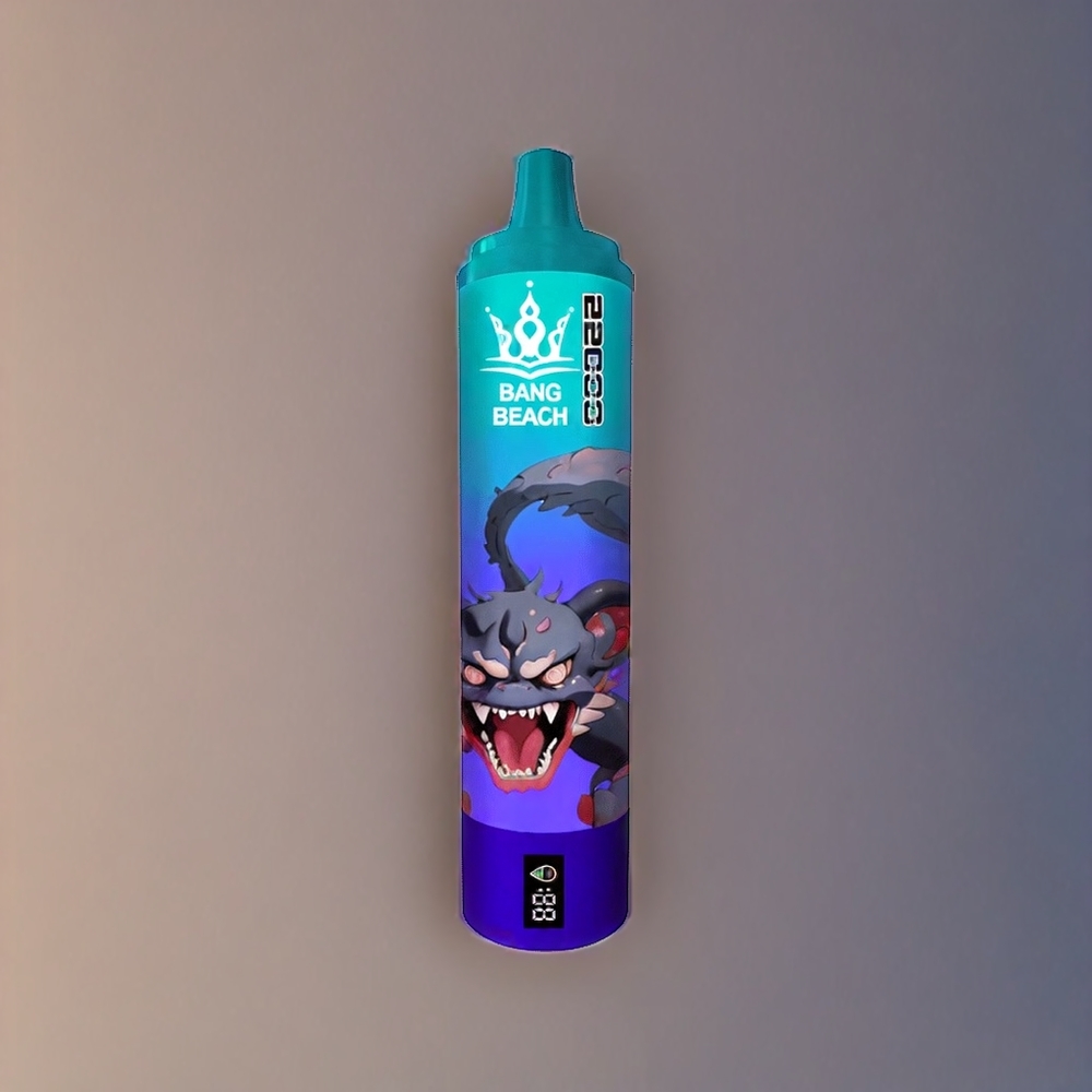 Bang Beach 22000 Puffs Einweg-Vape Grape Ice 36ml 650mAh Schweiz Großhandel