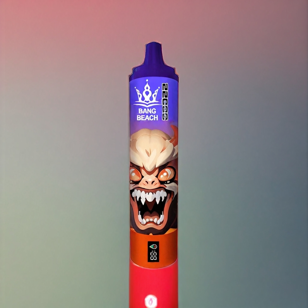 Bang Beach 22000 Puffs Einweg-Vape Wassermelone Eis – 36ml, 650mAh, Schweiz Großhandel