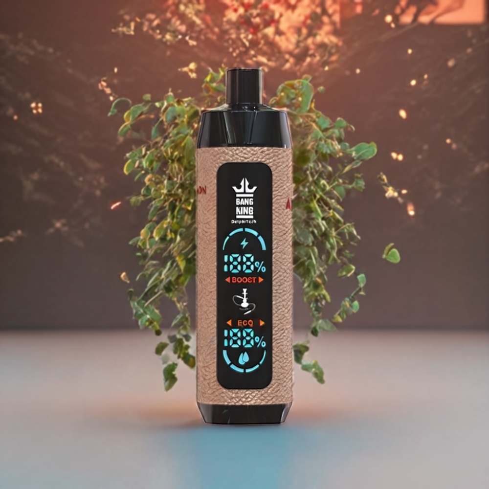 Bang King Shisha 25000 Puffs Schweiz Großhandel – 30ml E-Liquid, 650 mAh, Type-C, Limetten-Minze