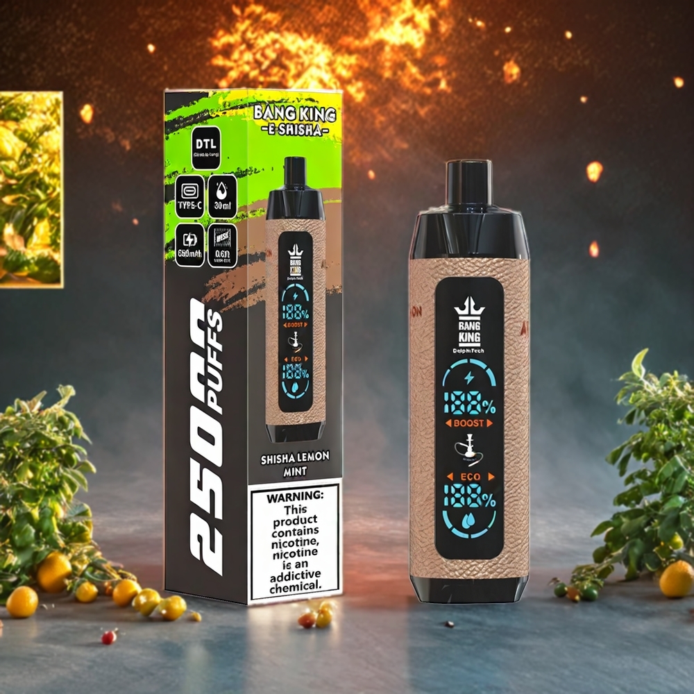 Bang King Shisha 25000 Puffs Schweiz Großhandel – 30ml E-Liquid, 650 mAh, Type-C, Limetten-Minze