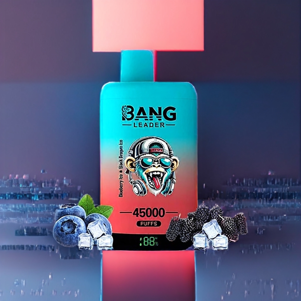 Bang Leader 45000 Puffs Einweg-Vape Blueberry Eis Black Dragon Eis – 0%/2%/3%/5% Nikotin, 45000 Puffs, Smart Screen Display, Type-C USB Port, Schweiz Großhandel