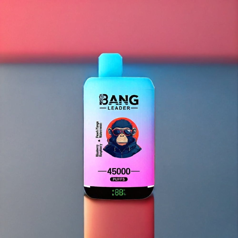 Bang Leader 45000 Puffs Einweg-Vape Blueberry Himbeere Pfirsich Mango Wassermelone – 0-5% Nikotin, Smart Screen Display, Type-C USB, Schweiz Großhandel
