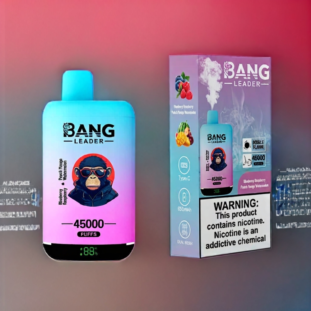 Bang Leader 45000 Puffs Einweg-Vape Blueberry Himbeere Pfirsich Mango Wassermelone – 0-5% Nikotin, Smart Screen Display, Type-C USB, Schweiz Großhandel