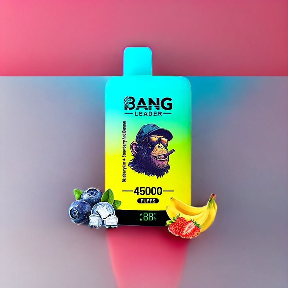 Bang Leader 45000 Puffs Einweg-Vape Blueberry Ice Erdbeer Banane – 0-5% Nikotin, Smart Screen Display, Schweiz Großhandel