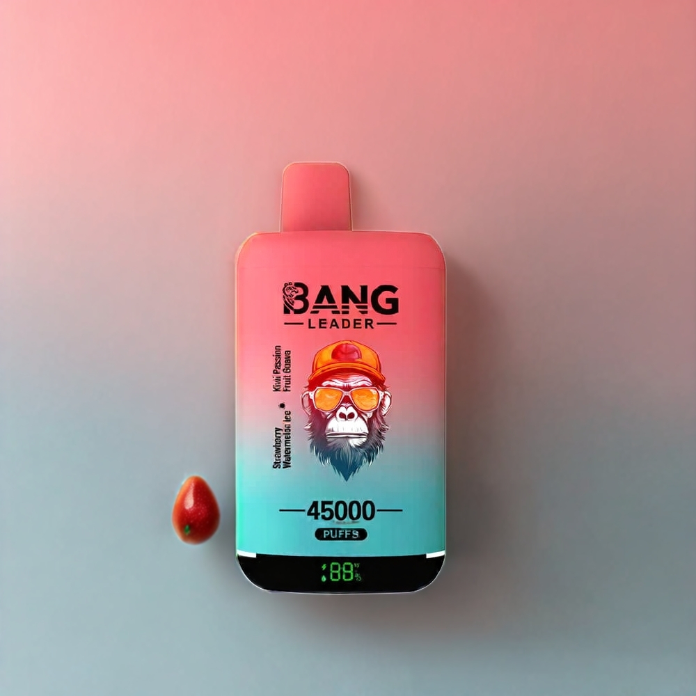 Bang Leader 45000 Puffs Einweg-Vape Erdbeere Wassermelone Kiwi Passionsfrucht Guave – 0-5% Nikotin, Smart Screen Display, Typ-C USB, Schweiz Großhandel