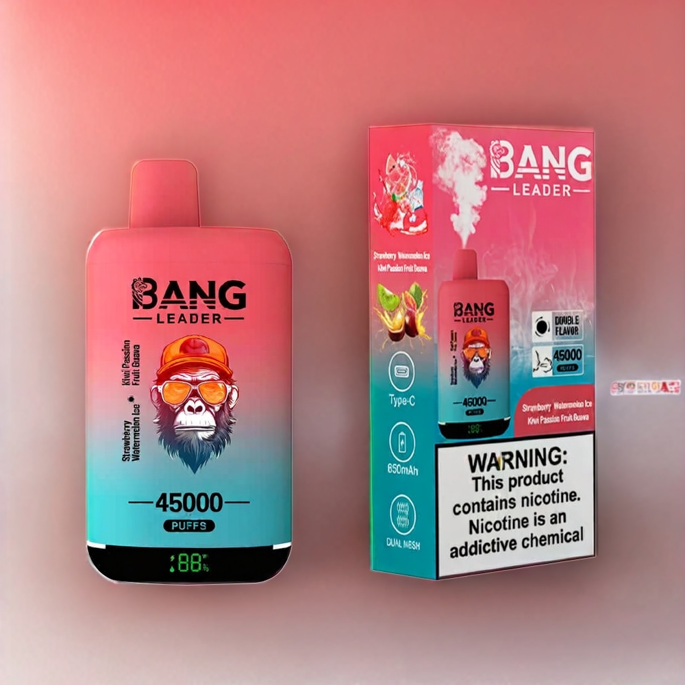 Bang Leader 45000 Puffs Einweg-Vape Erdbeere Wassermelone Kiwi Passionsfrucht Guave – 0-5% Nikotin, Smart Screen Display, Typ-C USB, Schweiz Großhandel