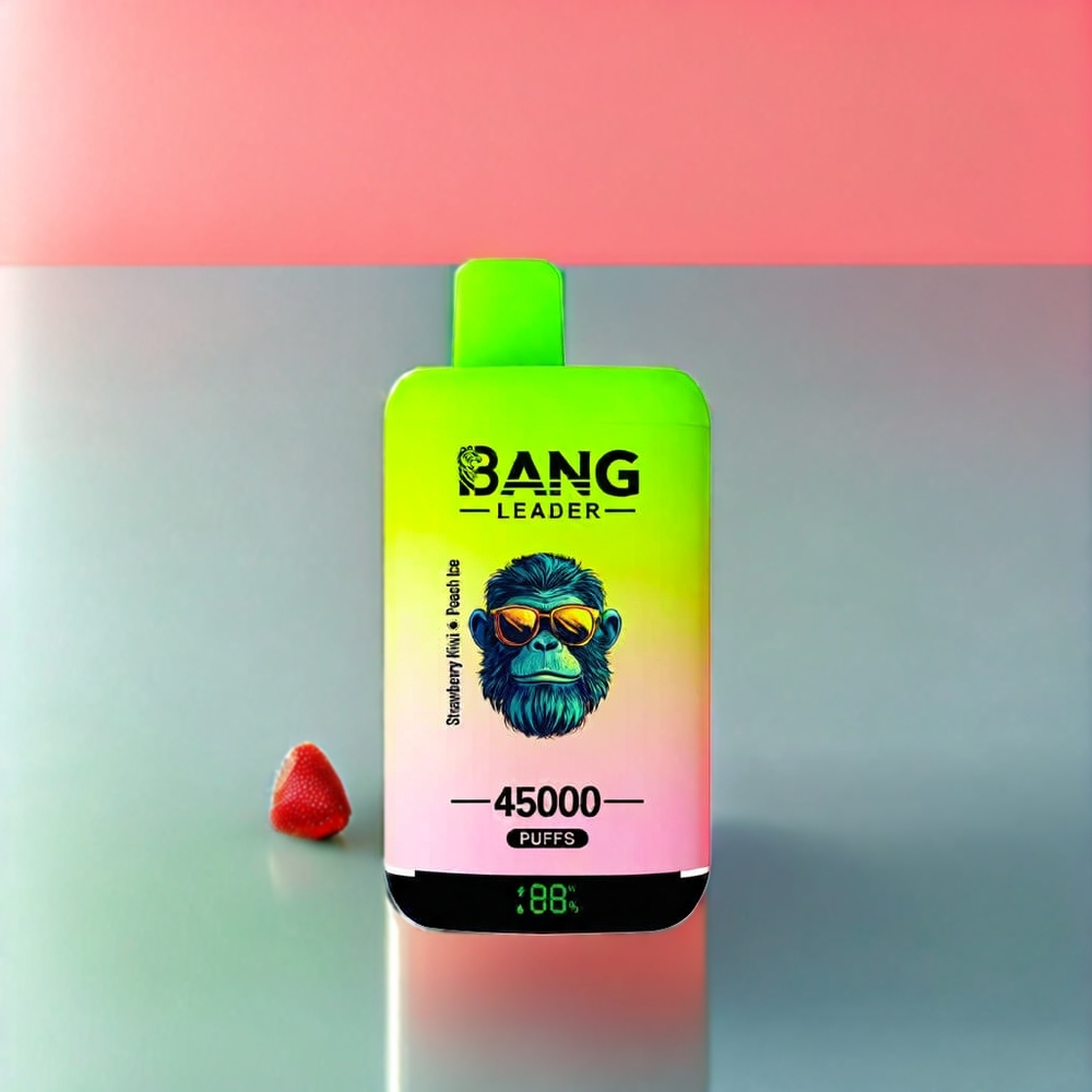 Bang Leader 45000 Puffs Einweg-Vape Schweiz Großhandel – 0-5% Nikotin, 45000 Züge, Smart Display, Typ-C USB, Doppelgeschmack Erdbeer-Kiwi-Pfirsich-Eis