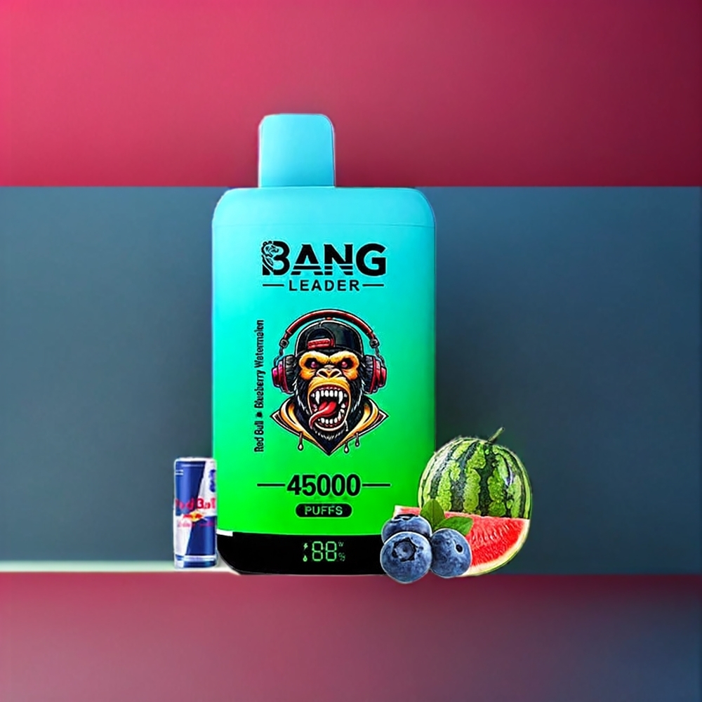 Bang Leader 45000 Puffs Einweg-Vape Schweiz Großhandel – 0-5% Nikotin, 45000 Züge, Smart Display, Typ-C USB, Dual Aroma Red Bull Blaubeere Wassermelone