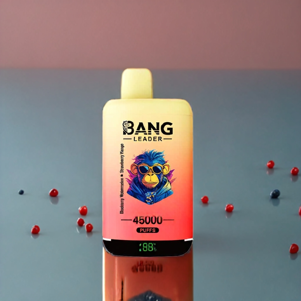Bang Leader 45000 Puffs Einweg-Vape Schweiz Großhandel – 0-5% Nikotin, 45000 Züge, Smart Screen, Typ-C USB, Blaubeere Wassermelone Erdbeere Mango