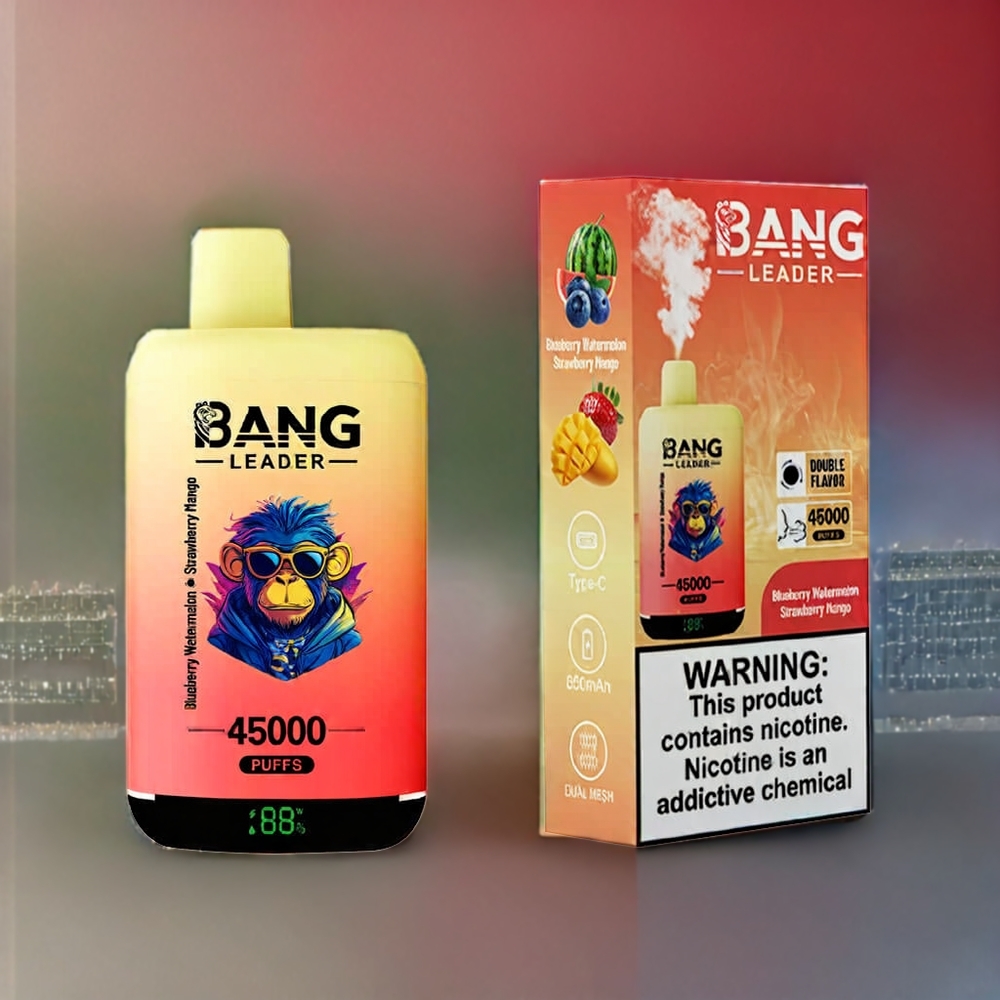 Bang Leader 45000 Puffs Einweg-Vape Schweiz Großhandel – 0-5% Nikotin, 45000 Züge, Smart Screen, Typ-C USB, Blaubeere Wassermelone Erdbeere Mango