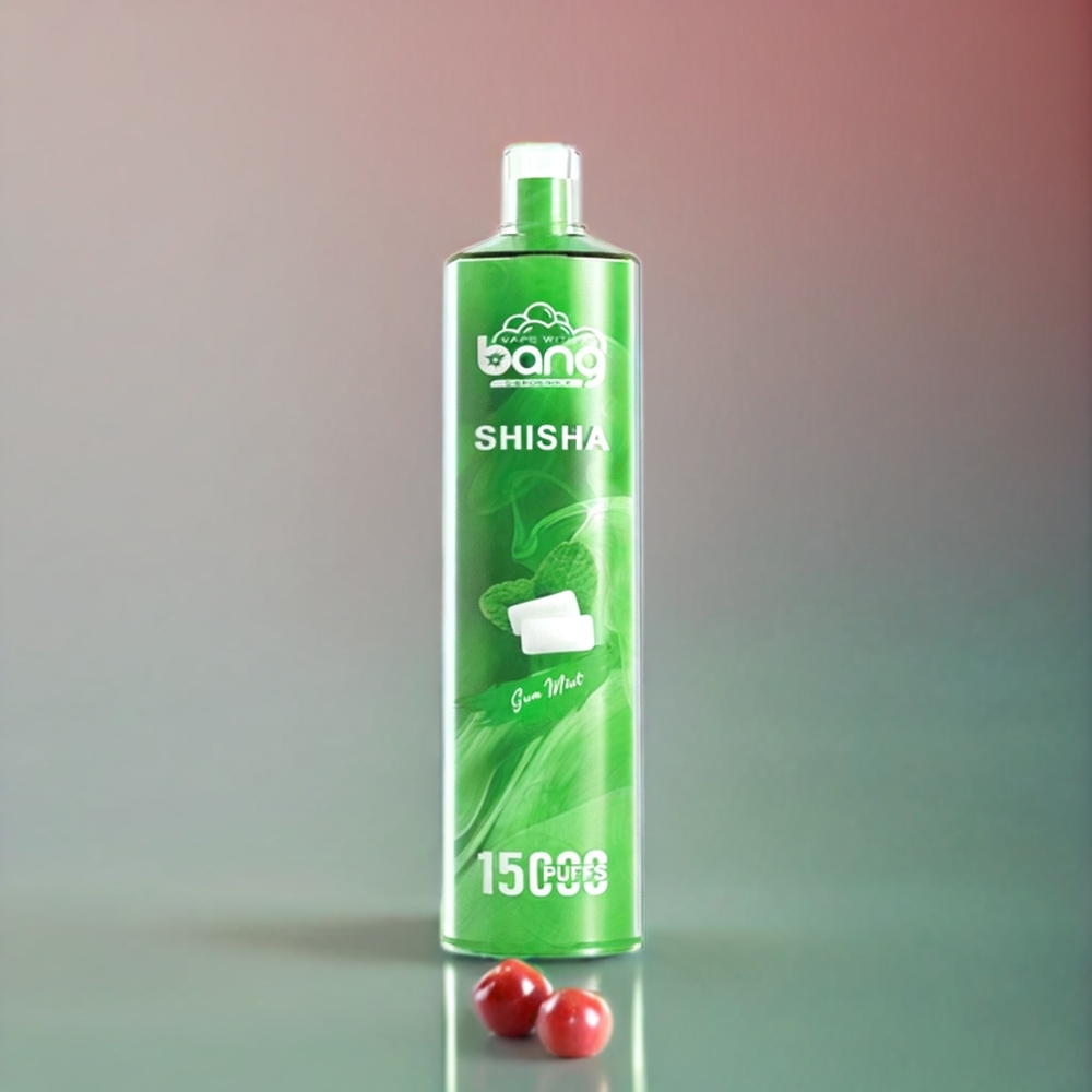 Bang Shisha 15000 Puffs Einweg-Vape Gum Minze – 23ml E-Liquid, Typ-C-Ladung, 600mAh Akku, Schweiz Großhandel