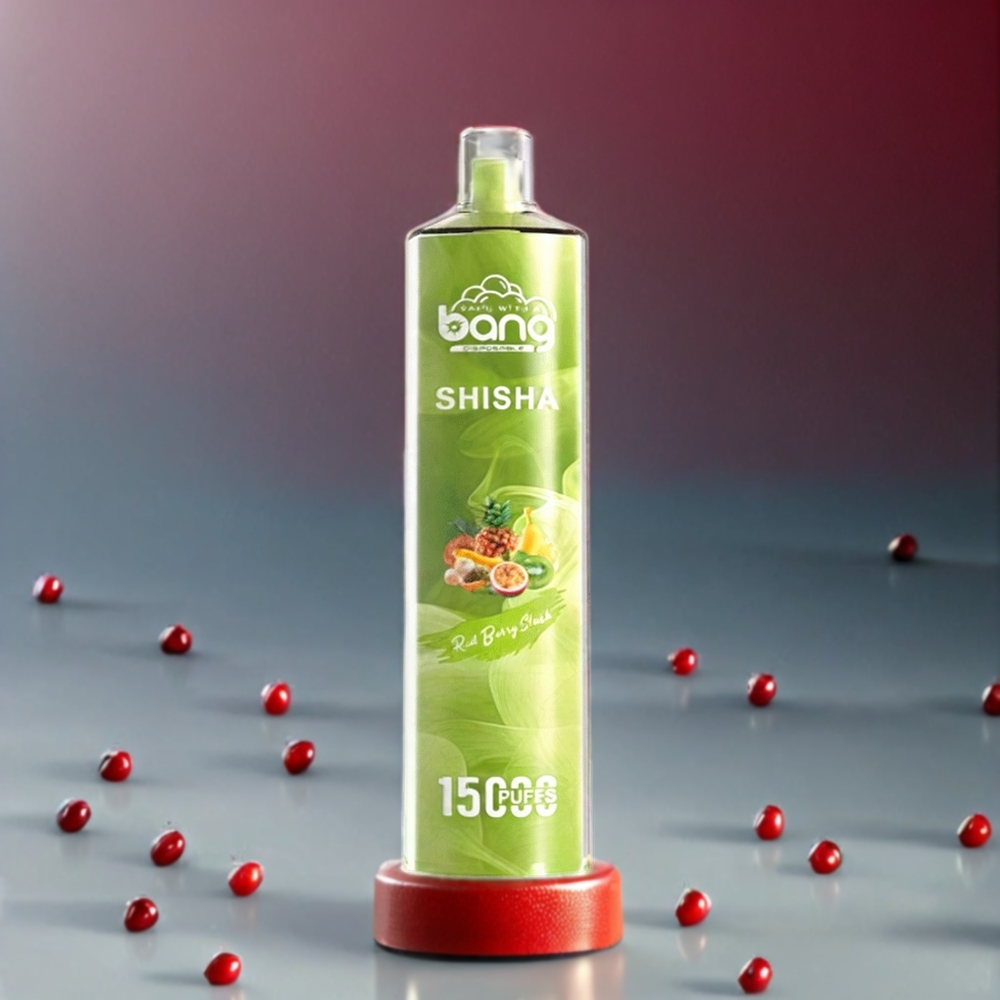 Bang Shisha 15000 Puffs Einweg-Vape Red Berry Slush – 23ml E-Liquid, Typ-C-Ladung, 600mAh Akku, Schweiz Großhandel