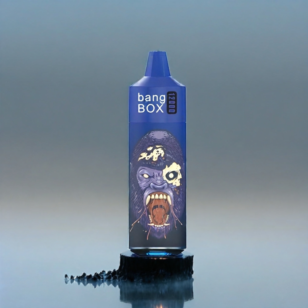Bang Box 12000 Puffs Black Dragon Ice Schweiz Großhandel 23ML Liquid 650mAh TYPE-C