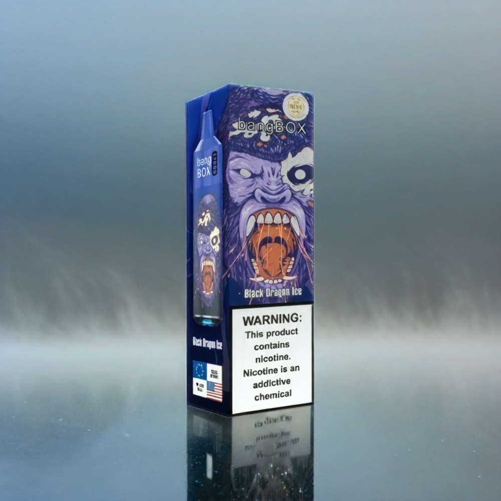 Bang Box 12000 Puffs Black Dragon Ice Schweiz Großhandel 23ML Liquid 650mAh TYPE-C