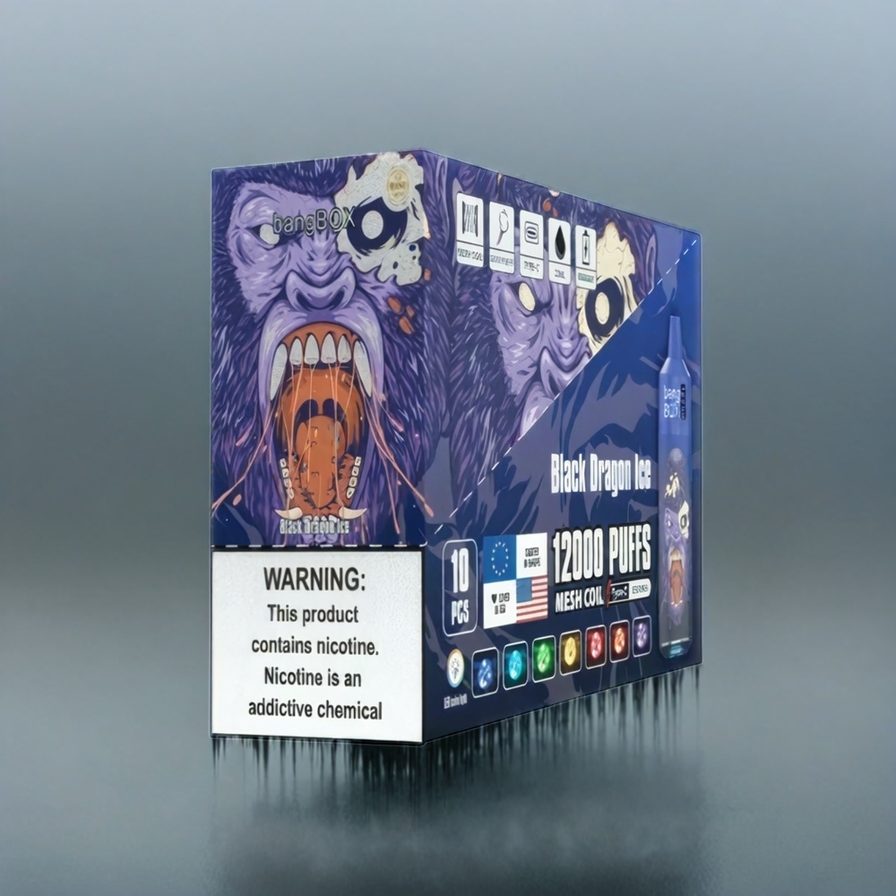 Bang Box 12000 Puffs Black Dragon Ice Schweiz Großhandel 23ML Liquid 650mAh TYPE-C