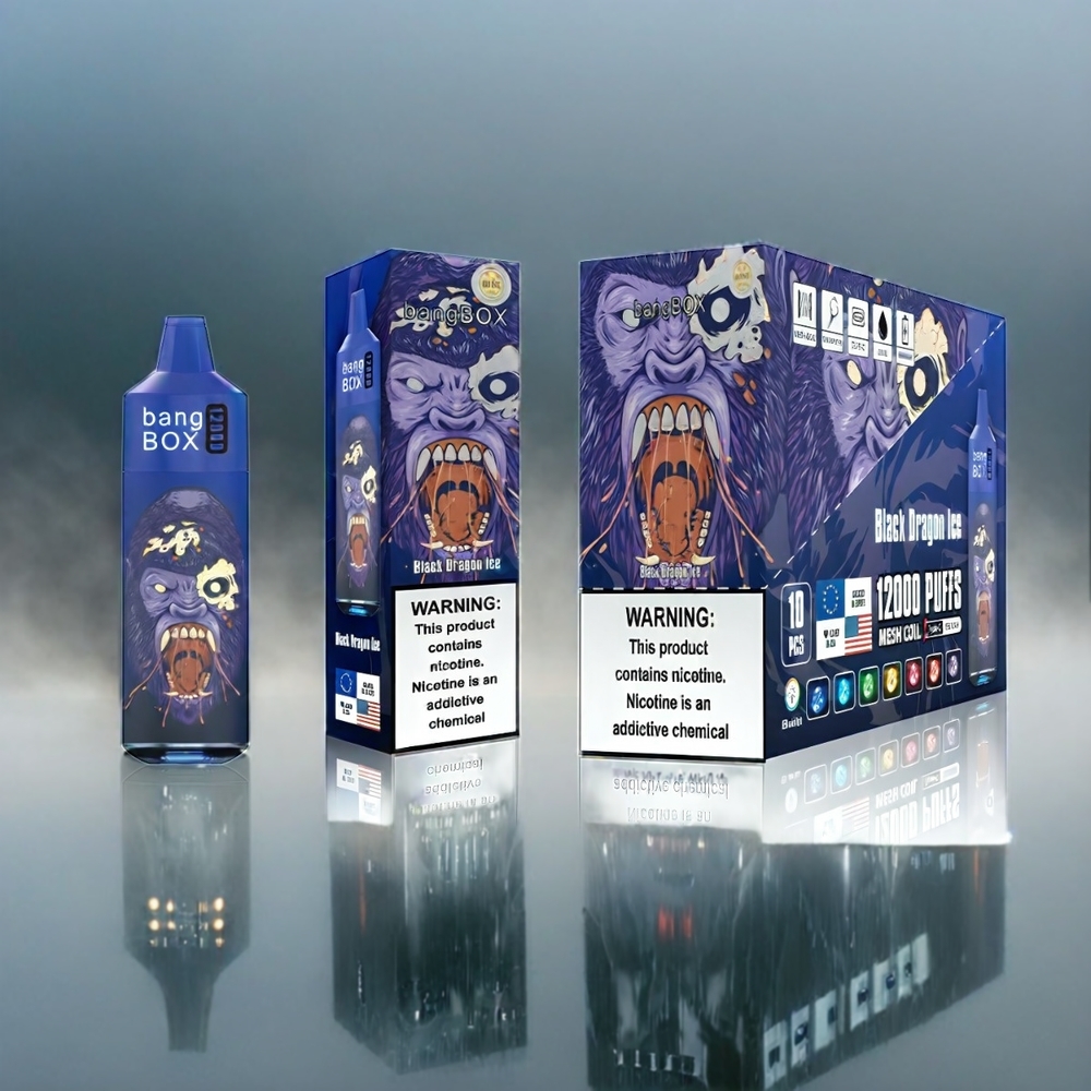 Bang Box 12000 Puffs Black Dragon Ice Schweiz Großhandel 23ML Liquid 650mAh TYPE-C