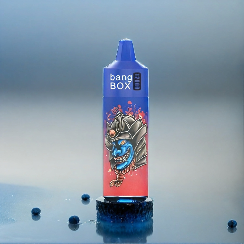 Bang Box 12000 Puffs Vape Blaubeere-Eis Schweiz Großhandel 23ML 650mAh TYPE-C