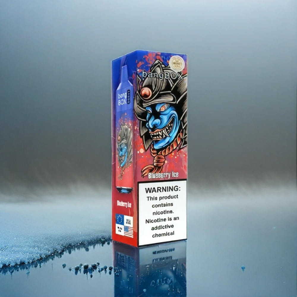 Bang Box 12000 Puffs Vape Blaubeere-Eis Schweiz Großhandel 23ML 650mAh TYPE-C