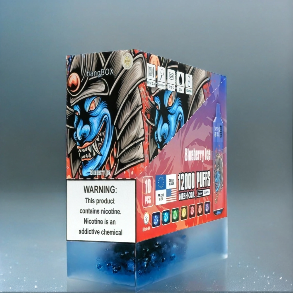 Bang Box 12000 Puffs Vape Blaubeere-Eis Schweiz Großhandel 23ML 650mAh TYPE-C