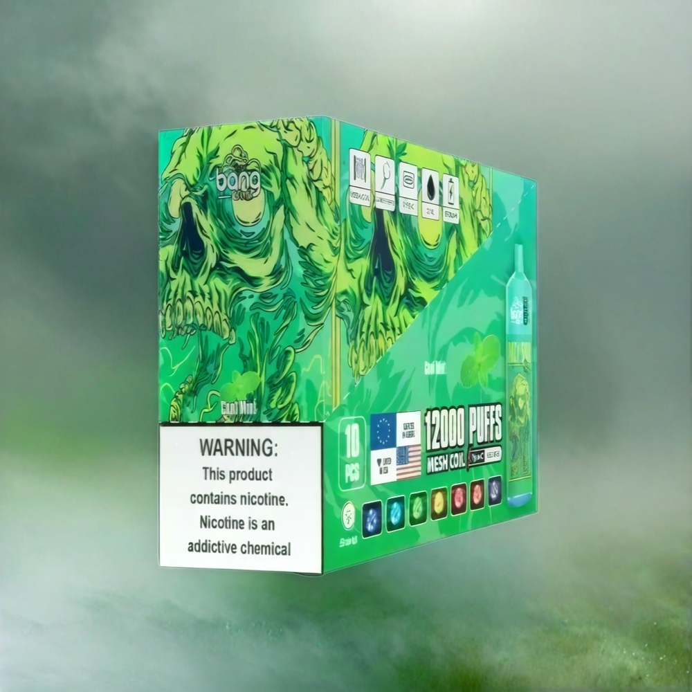 Bang Box 12000 Puffs Vape Cool Mint Schweiz Großhandel – 23ML Liquid, 650mAh, TYPE-C